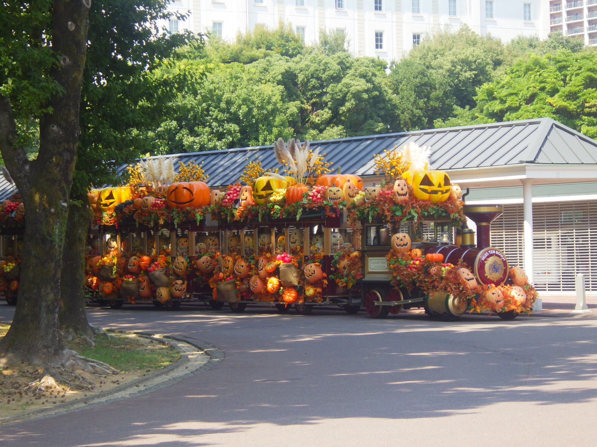 新着情報の画像